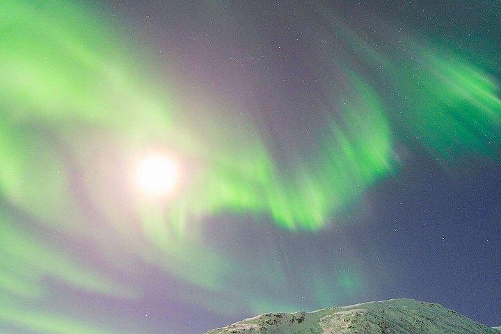 少人数グループでのオーロラ追跡とキャンプファイヤーディナー、写真撮影