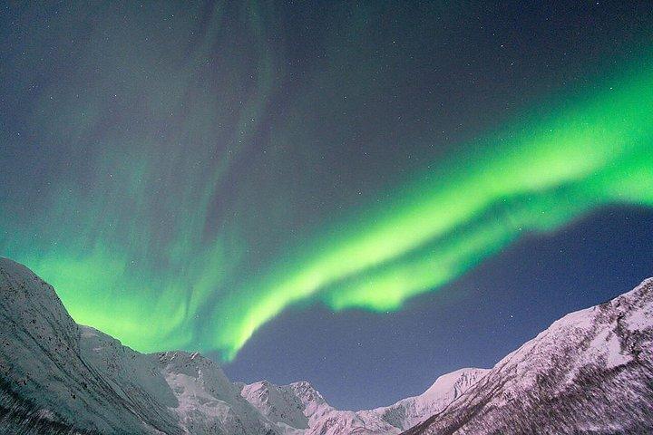 少人数グループでのオーロラ追跡とキャンプファイヤーディナー、写真撮影