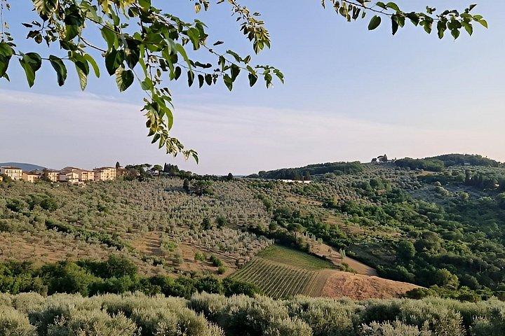 In Chianti Supertuscan Experience: Top 10% Tripadvisor Excellence