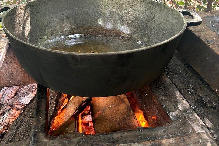 グアナカステ熱帯農園ツアーと手作りチップス試食会