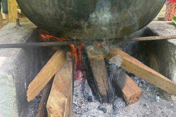 グアナカステ熱帯農園ツアーと手作りチップス試食会