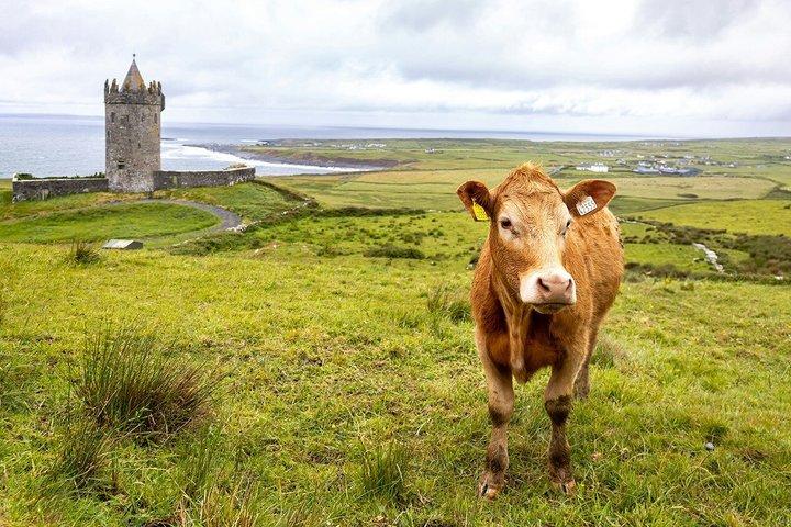 アイルランドのバーレン、モハーの断崖、ドゥーリンを巡る旅