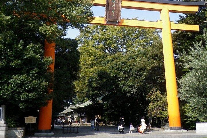 東京・軽井沢・川越小江戸日帰り旅行