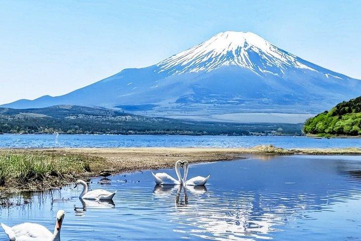Mount Fuji privat anpassningsbar dagstur med Engelska Driver