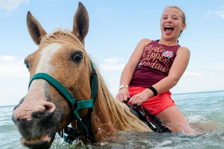 ハルガダ：朝または夕方の乗馬と水泳