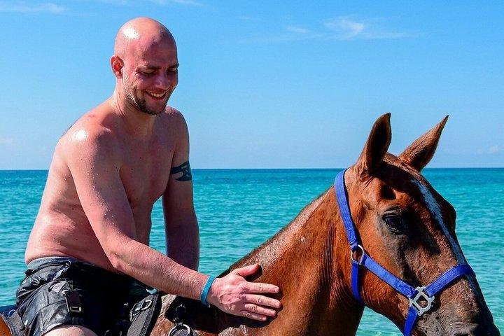 ハルガダ：朝または夕方の乗馬と水泳