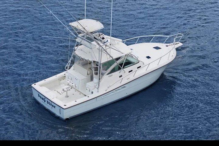 Full Day Big Game Fishing