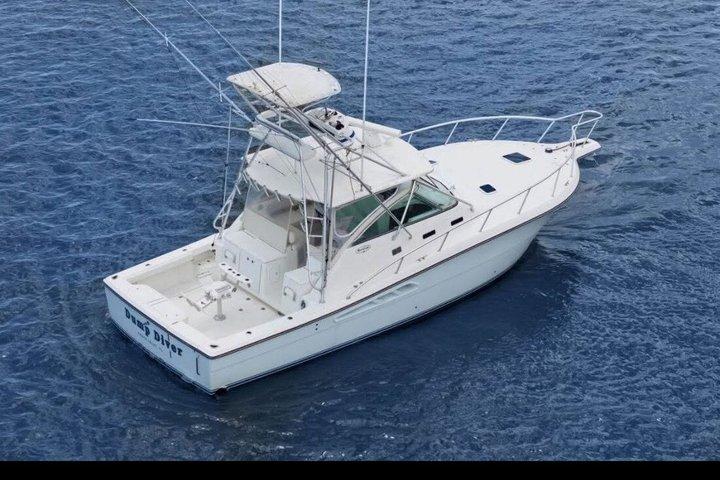 Charter privado de pesca esportiva de meio dia
