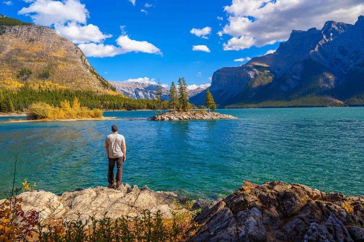 Banff Wildlife og naturskønne højdepunkter Privat tur