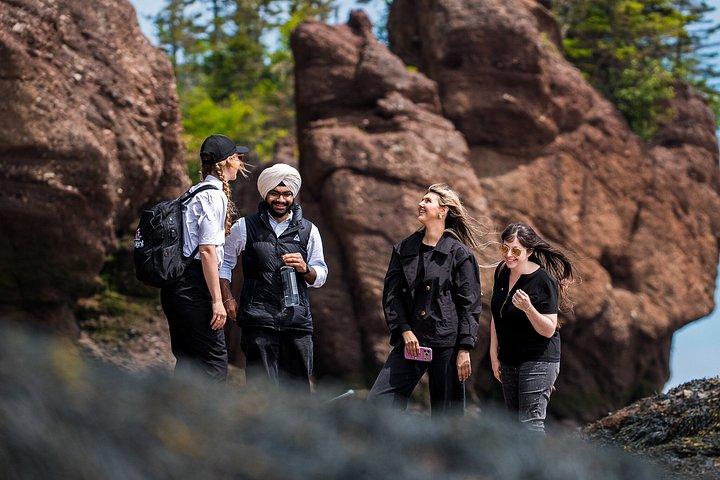 Hopewell Rocks Express Tour da Moncton
