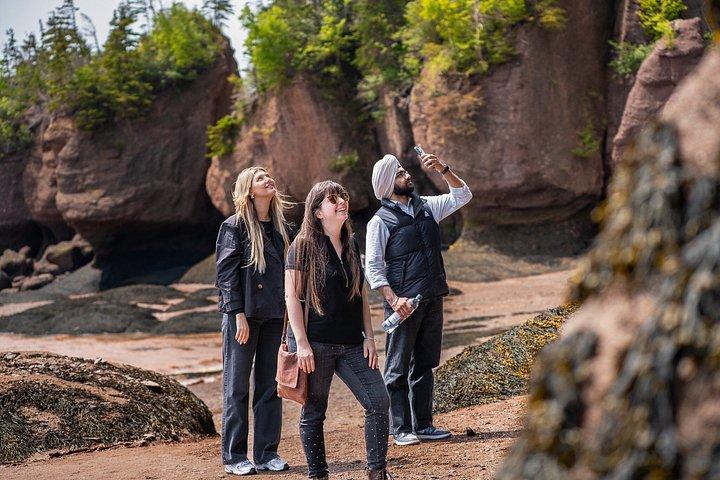 Hopewell Rocks Express Tour da Moncton