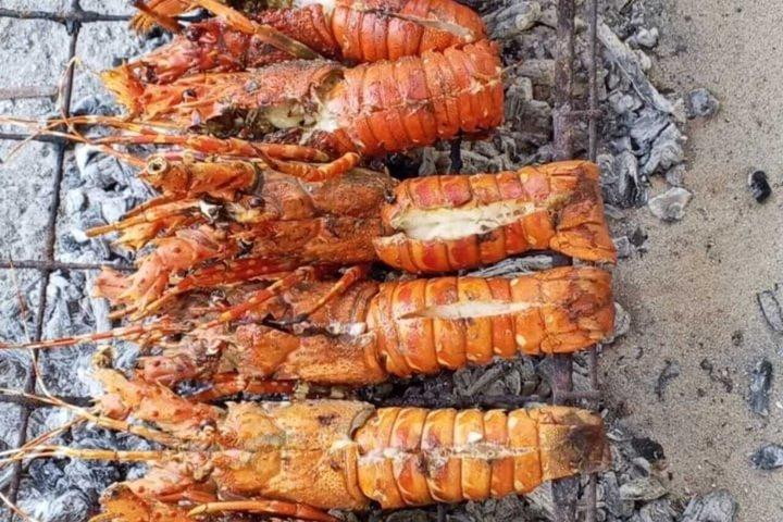 ザンジバル;ブルーサファリシュノーケリング&ブルーラグーンBBQ付き