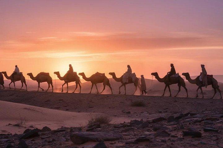 アガファイ砂漠のサンセット体験ラクダ乗りとディナーショー