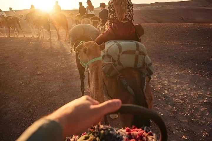 アガファイ砂漠のサンセット体験ラクダ乗りとディナーショー