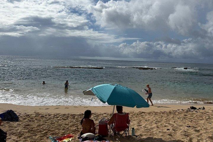 Visite privée en minivan de Waikiki à North Shore