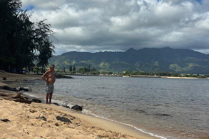 Visite privée en minivan de Waikiki à North Shore