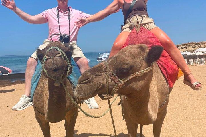 マルベージャまたはマラガからのプライベート日帰り旅行（すべて込み）