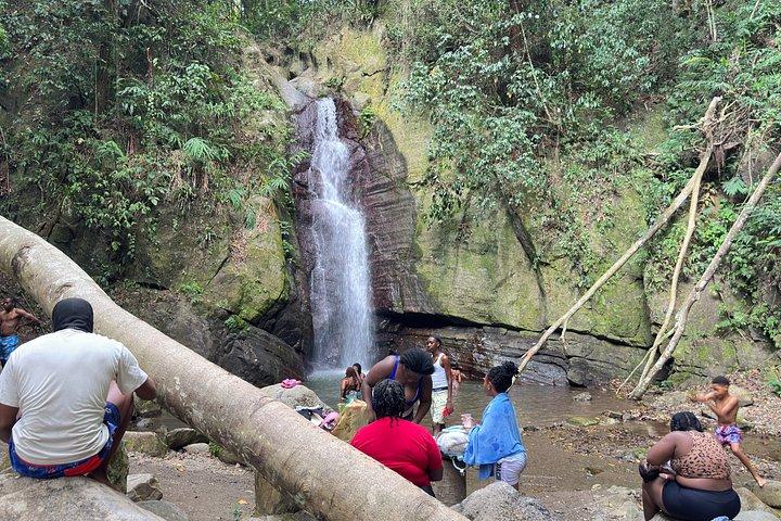 A Day At Falling Edge Waterfalls In Kingston