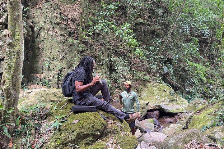 A Day At Falling Edge Waterfalls In Kingston
