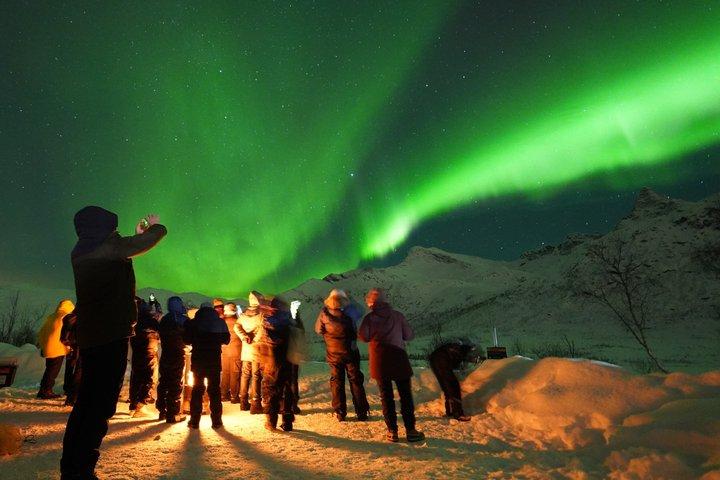 Northern Lights Chase by a modern comfortable Bus