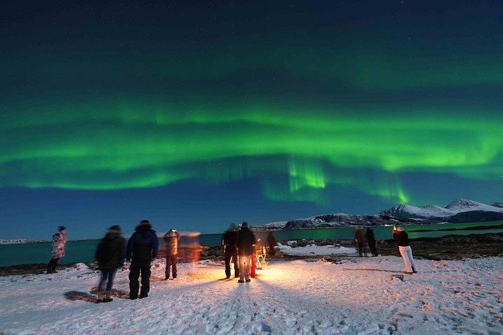 Northern Lights Chase by a modern comfortable Bus