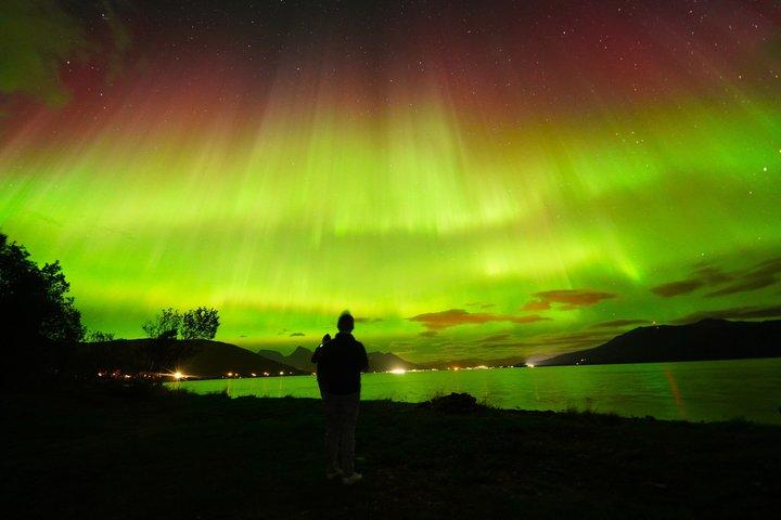 Northern Lights Chase by a modern comfortable Bus