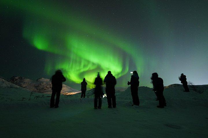 Northern Lights Chase by a modern comfortable Bus