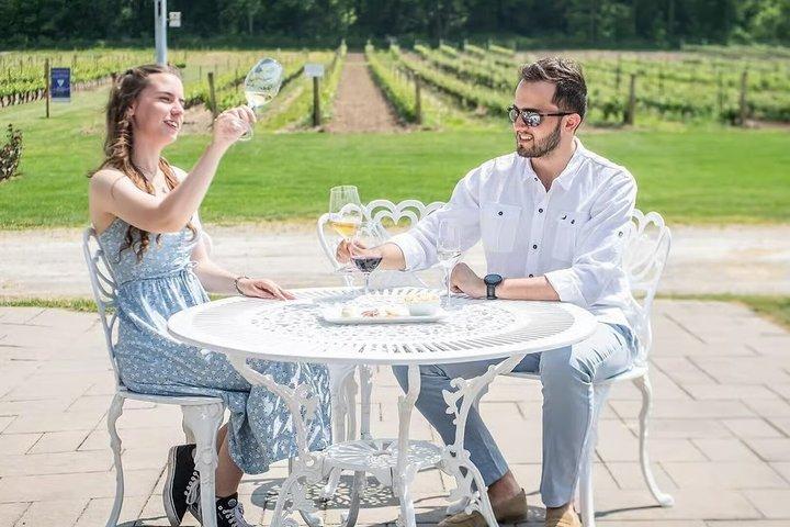 Niagara Bubbles and Icewine Winery Tour from Toronto