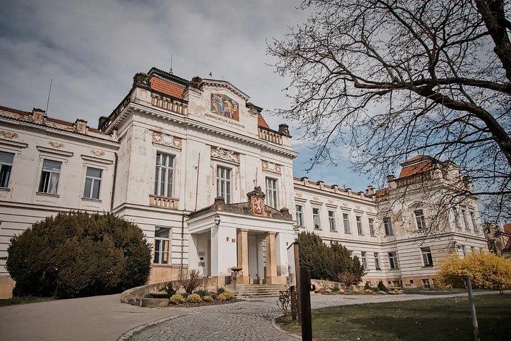 Psychiatrische Klinik & Verlassener Friedhof