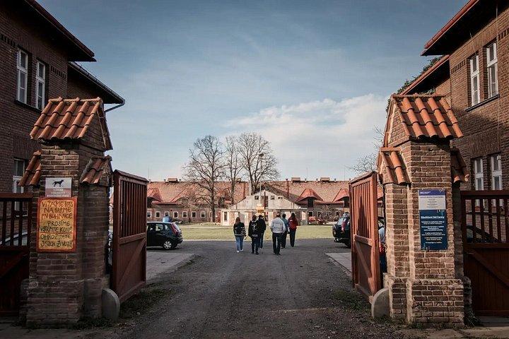 Psychiatrische Klinik & Verlassener Friedhof