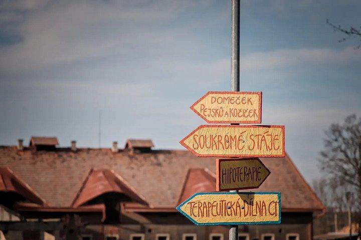 Psychiatrische Klinik & Verlassener Friedhof