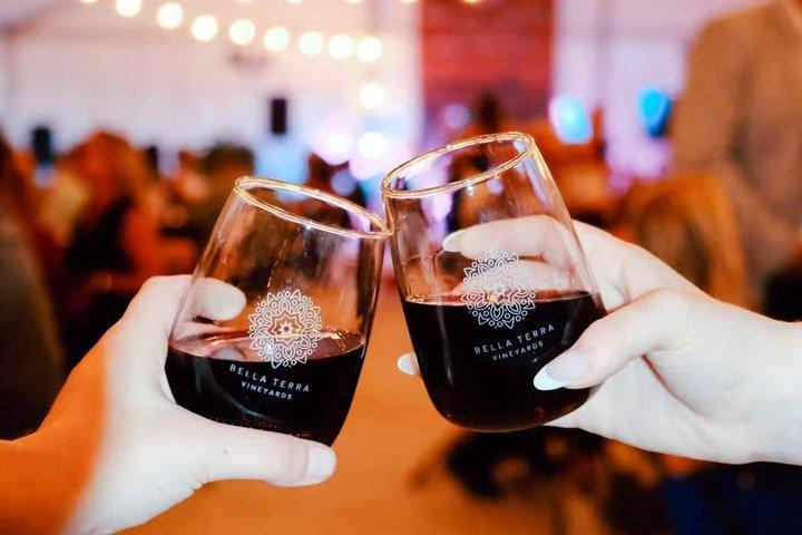 Toronto to Niagara Wine Country Tour with Gourmet Lunch