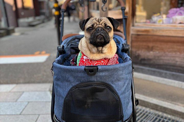金沢内覧会：昔ながらの武家町の見どころ