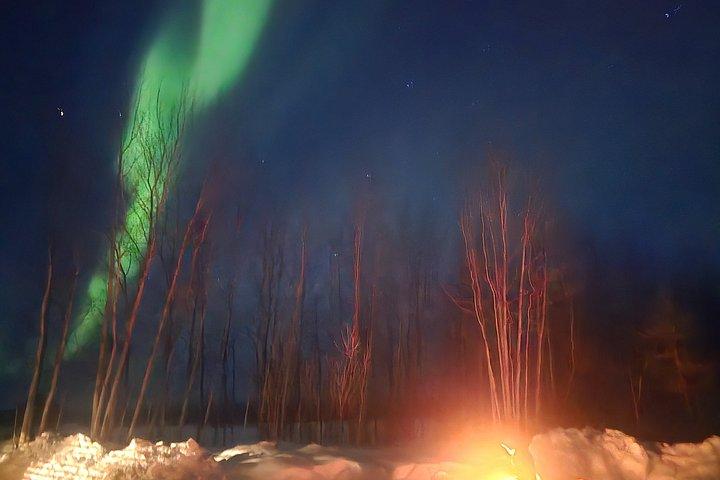 Aurora e Stargazing Tour com fotografia