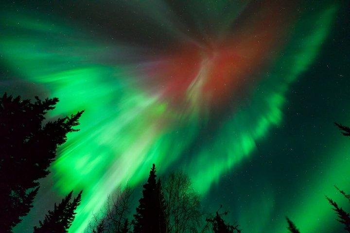 Aurora e Stargazing Tour com fotografia