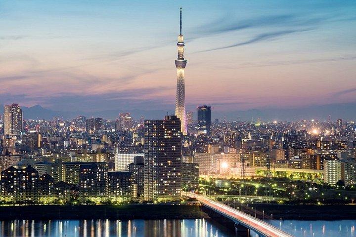 東京クルーズターミナル プライベート東京岸辺ツアー