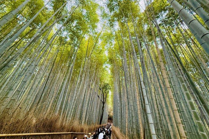 ライセンスガイド付き京都プライベートツアー:100%カスタマイズ可能