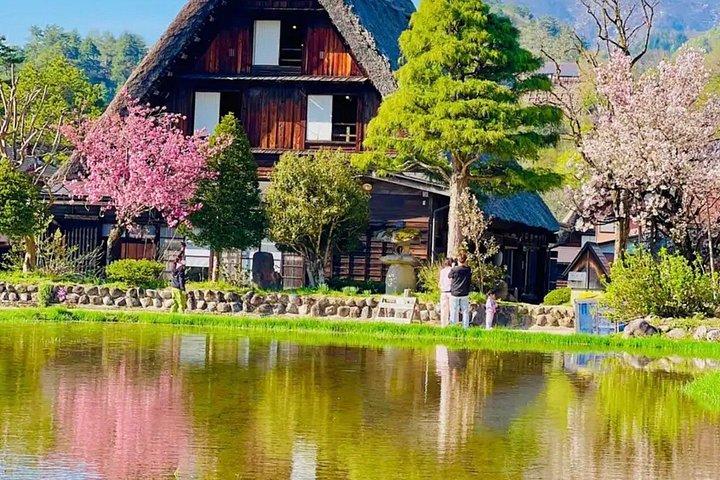 From Kanazawa or Toyama Shirakawa go and Takayama Day Trip