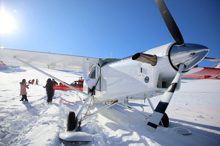 45-Minute Glacier Highlights Ski Plane Tour from Mount Cook