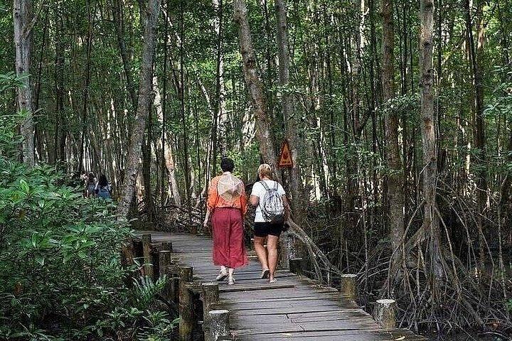 Can Gio: Jungle Trek & Mangrove Wildlife Experience