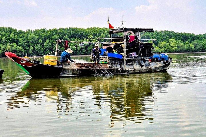 Can Gio: Jungle Trek & Mangrove Wildlife Experience