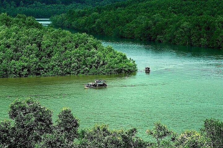 Can Gio: Jungle Trek & Mangrove Wildlife Experience