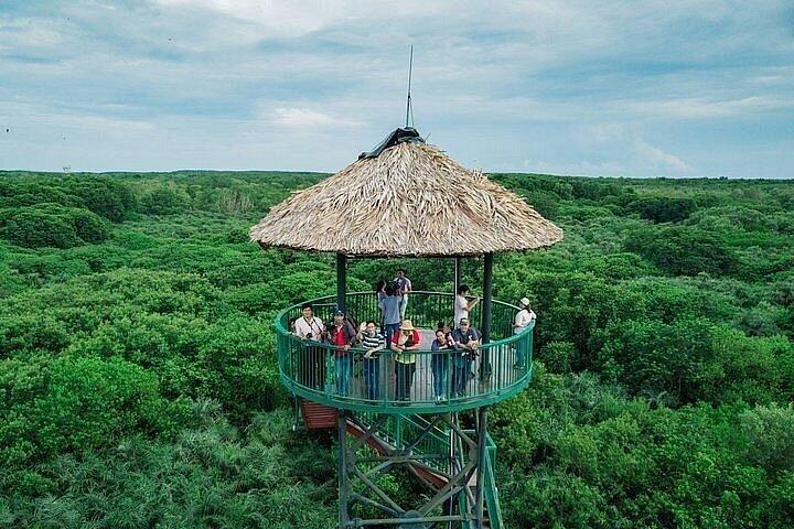 Can Gio: Jungle Trek & Mangrove Wildlife Experience