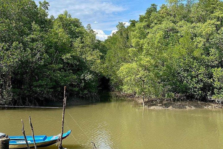 Can Gio: Jungle Trek & Mangrove Wildlife Experience