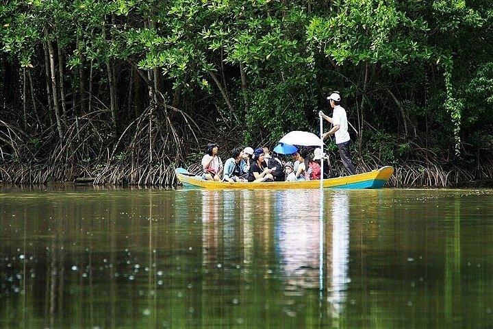 Can Gio: Jungle Trek & Mangrove Wildlife Experience