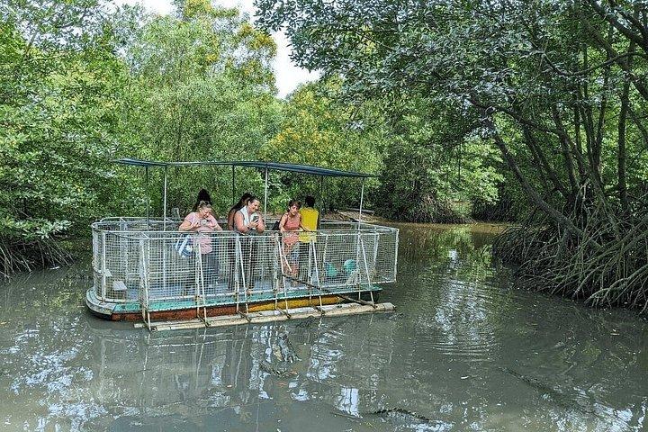 Can Gio: Jungle Trek & Mangrove Wildlife Experience