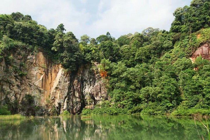 Singapore Bukit Timah Rainforest Discovery with Coffee