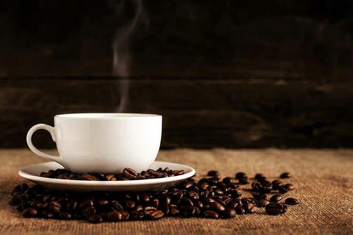 Singapore Bukit Timah Rainforest Discovery with Coffee