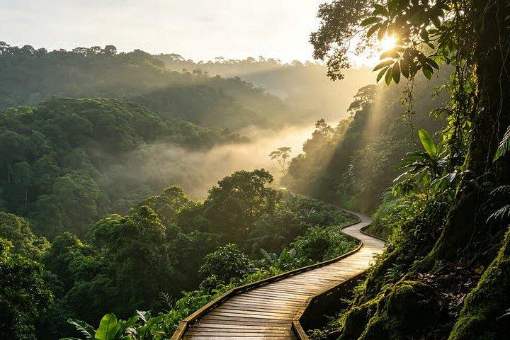 Singapore Bukit Timah Rainforest Discovery with Coffee