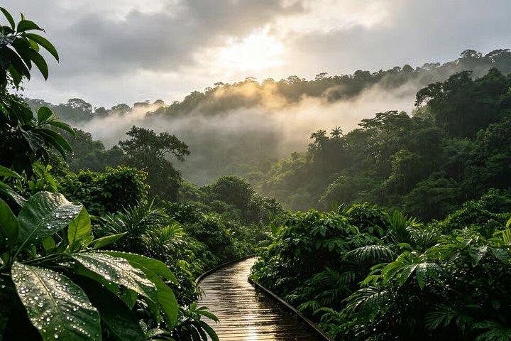 Singapore Bukit Timah Rainforest Discovery with Coffee